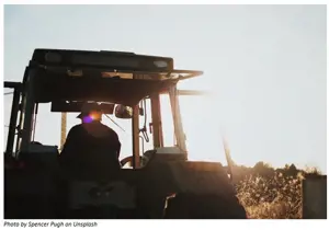 Global pigmeat trade exposed to disease and trade issues