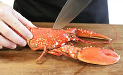 preparing lobster step 3