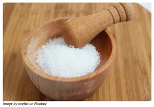 Taking Food studies with a pinch of salt